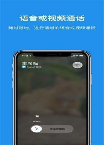 signal聊天软件