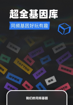 tagoo交友软件