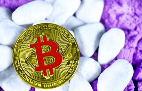 柚子币最多人用apk用户量排名柚子币apk全球顶尖iOS榜单