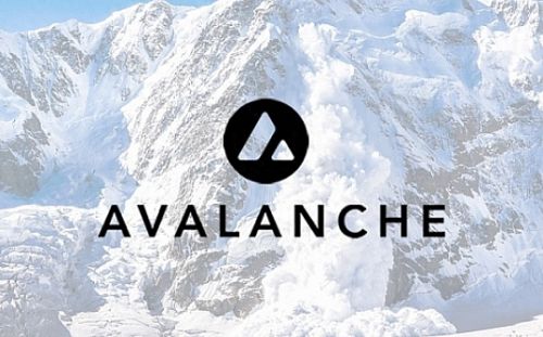 12月8日币圈早报：马斯克评Block的自托管钱包 AVAX成为市值第10大加密货币