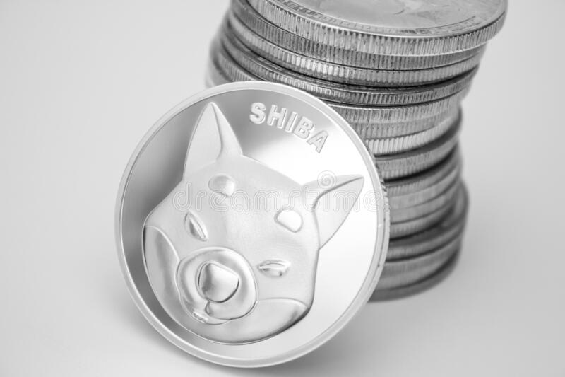 身份未知的钱包燃烧了16.9亿柴犬 这会对SHIB的价格产生积极影响吗