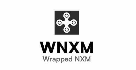 Wrapped NXM(WNXM)币-第1张图片-欧意下载