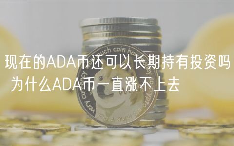 现在的ADA币还可以长期持有投资吗 为什么ADA币一直涨不上去