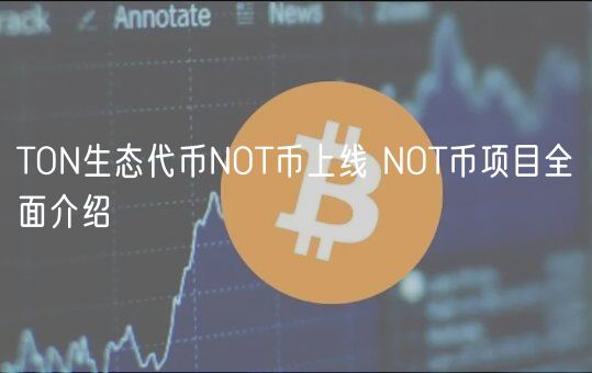 TON生态代币NOT币上线 NOT币项目全面介绍