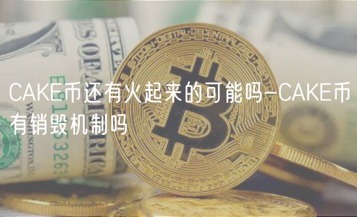 CAK币还有火起来的可能吗-CAK币有销毁机制吗