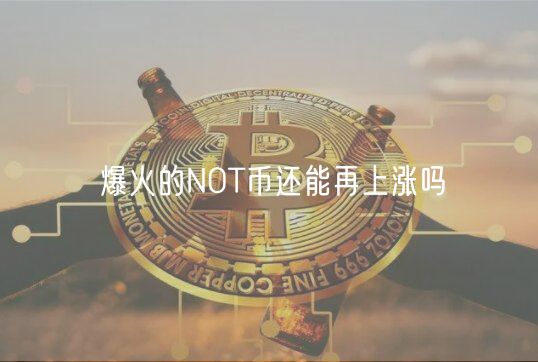 爆火的NOT币还能再上涨吗