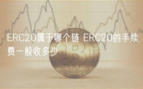 RC20属于哪个链 RC20的手续费一般收多少