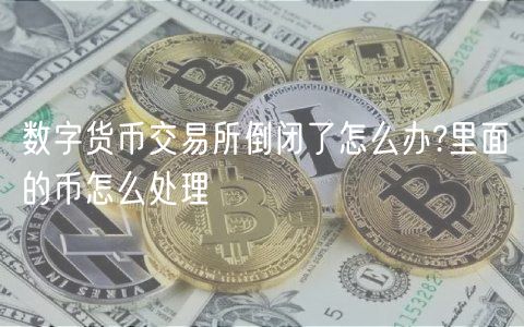 数字货币交易所倒闭了怎么办?里面的币怎么处理