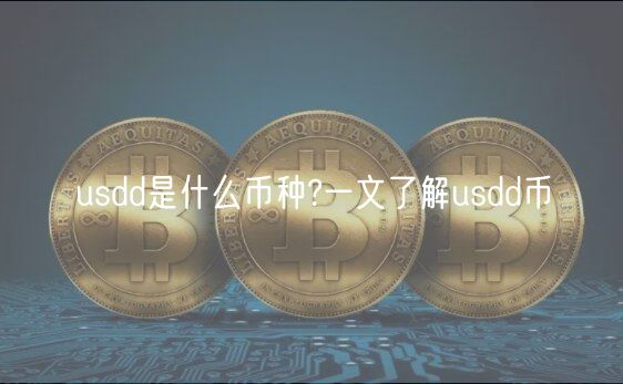 usdd是什么币种?一文了解usdd币