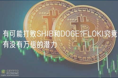 有可能打败SHIB和DOG?FLOKI究竟有没有万倍的潜力