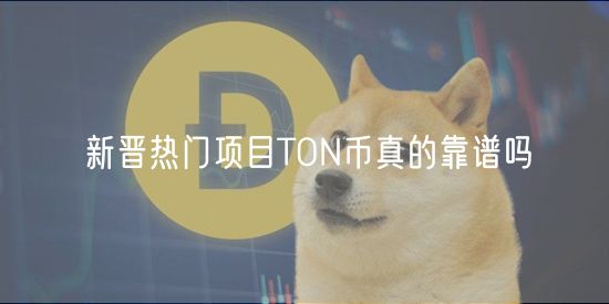 新晋热门项目TON币真的靠谱吗