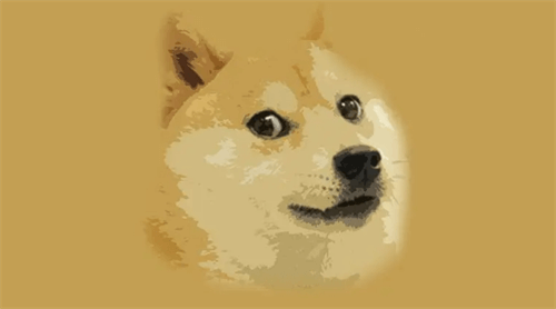 dog币到底是什么 dog币哪个平台能买