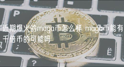 近期爆火的maga币怎么样 maga币能有千倍币的可能吗