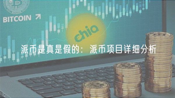 派币是真是假的：派币项目详细分析