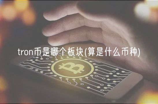 tron币是哪个板块 _ 算是什么币种