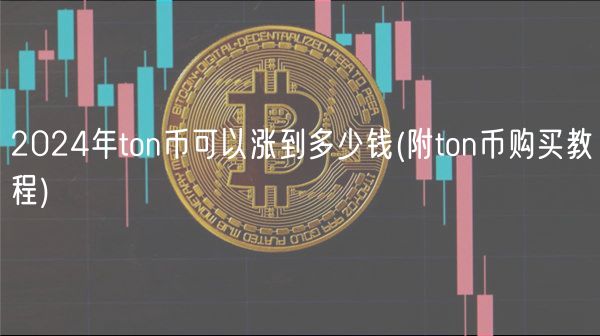 2024年ton币可以涨到多少钱 _ 附ton币购买教程