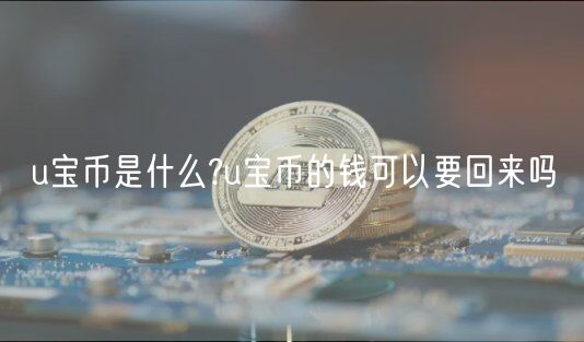 u宝币是什么?u宝币的钱可以要回来吗