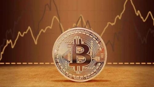 什么是萨摩耶币(SAMO)?SAMO币有什么特点?-第1张图片-欧意下载